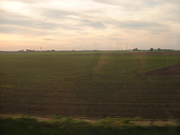 Illinois field