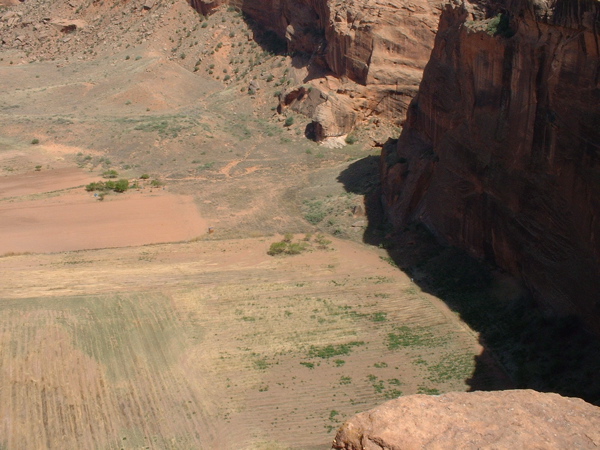 Canyon floor