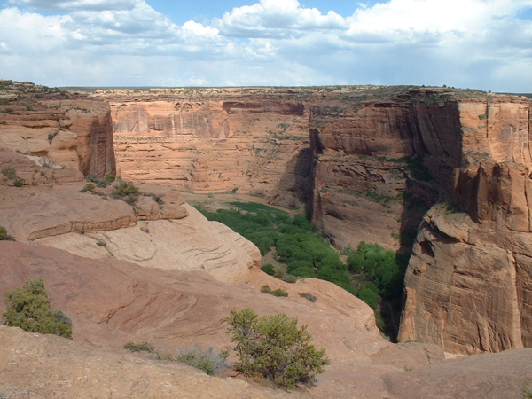 DSCF0017