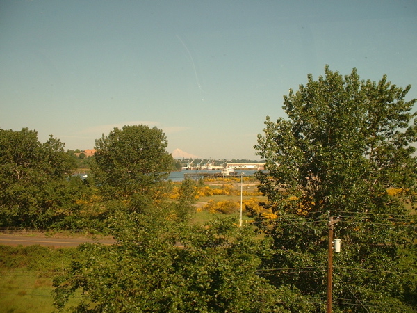 DSCF0004_0003