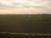 Illinois field