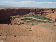DSCF0001