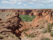 DSCF0013