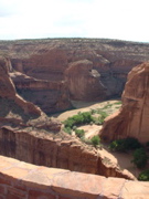 DSCF0018