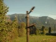 DSCF0023_0022