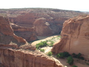 DSCF0021