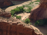 DSCF0022