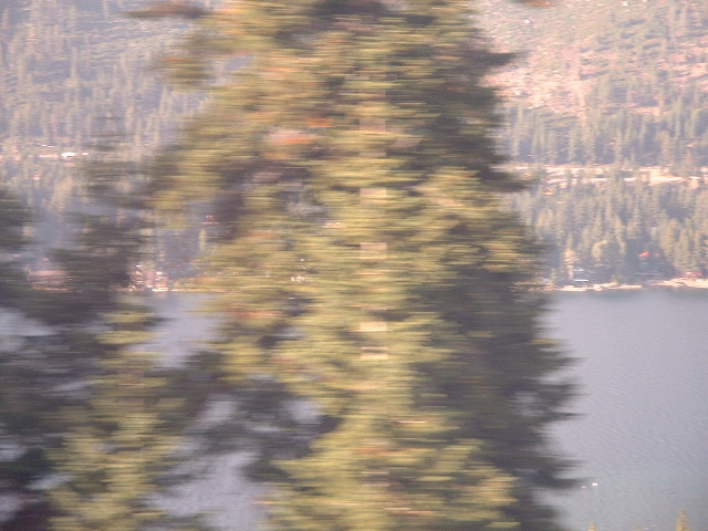 Lake and blurry tree