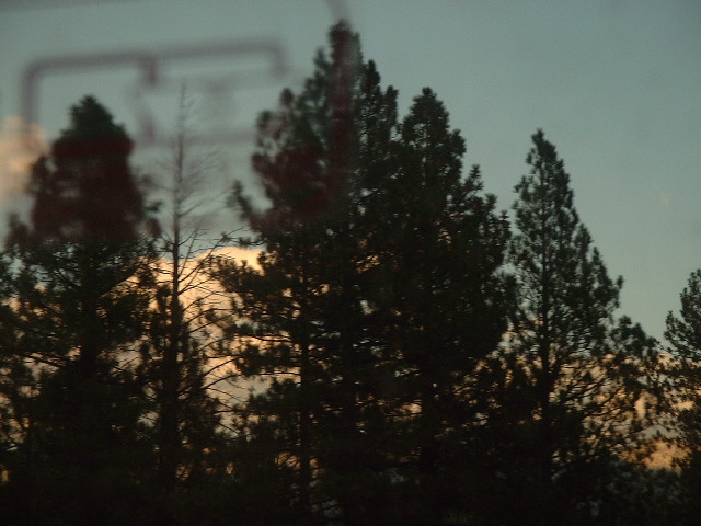 Trees and clouds
