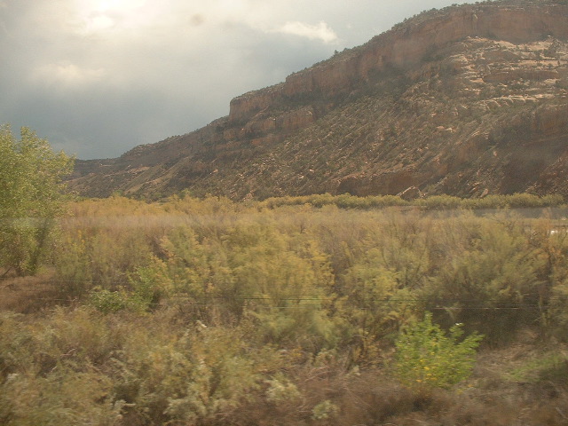 Rocks and weeds