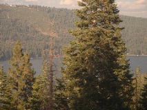 Lake and trees