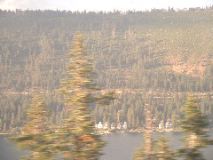 Lake and blurry trees 2