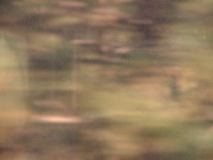Blurry nothing