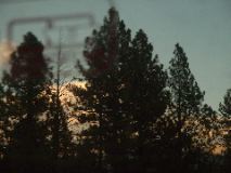 Trees and clouds