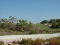 Iowa countryside